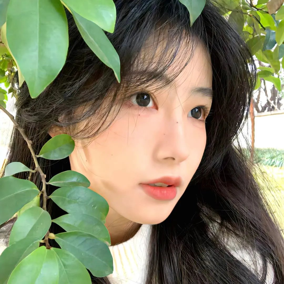 我的第二青春